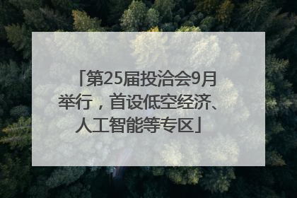 第25届投洽会9月举行，首设低空经济、人工智能等专区